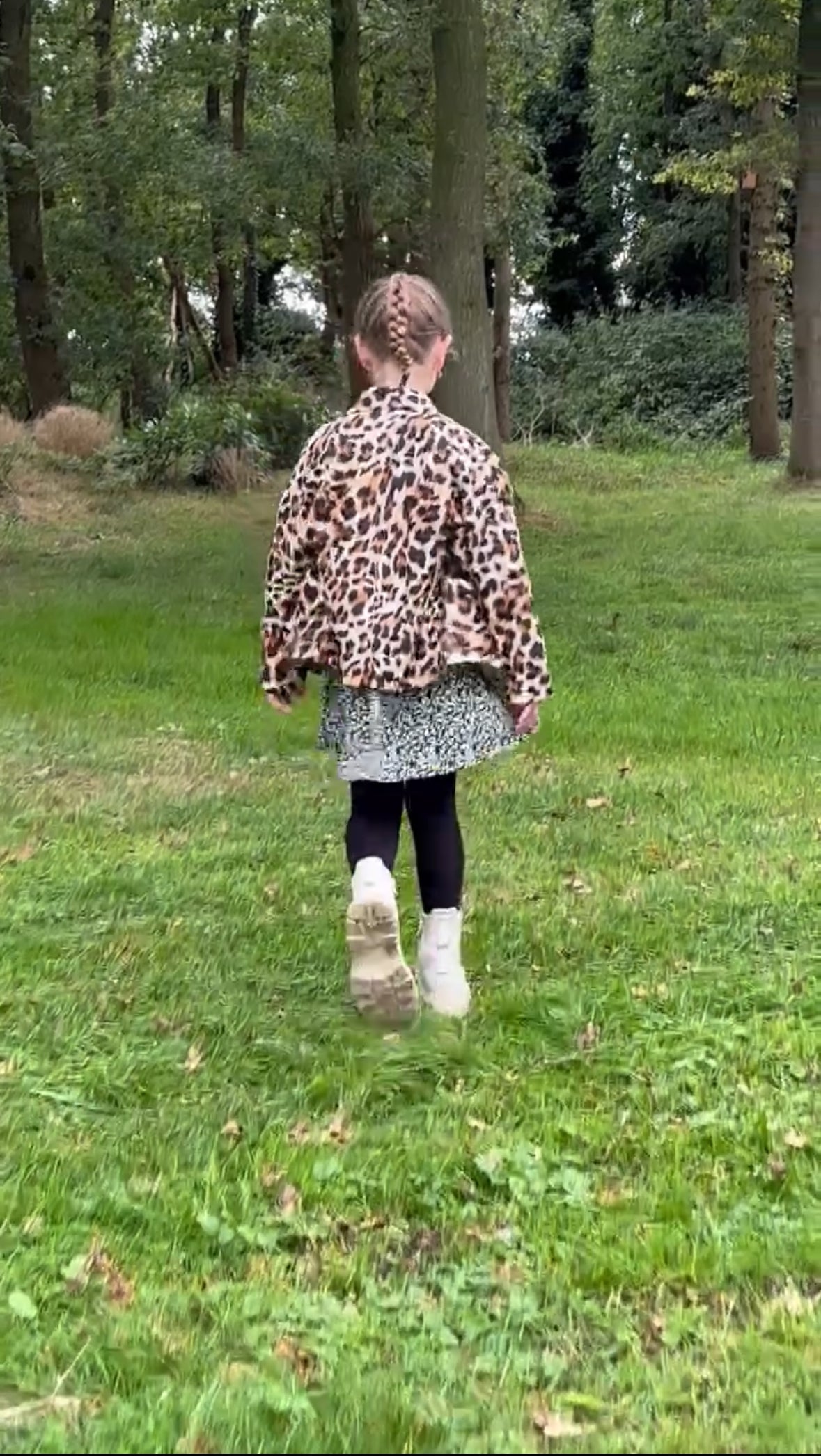 Cardigan Leo Mini