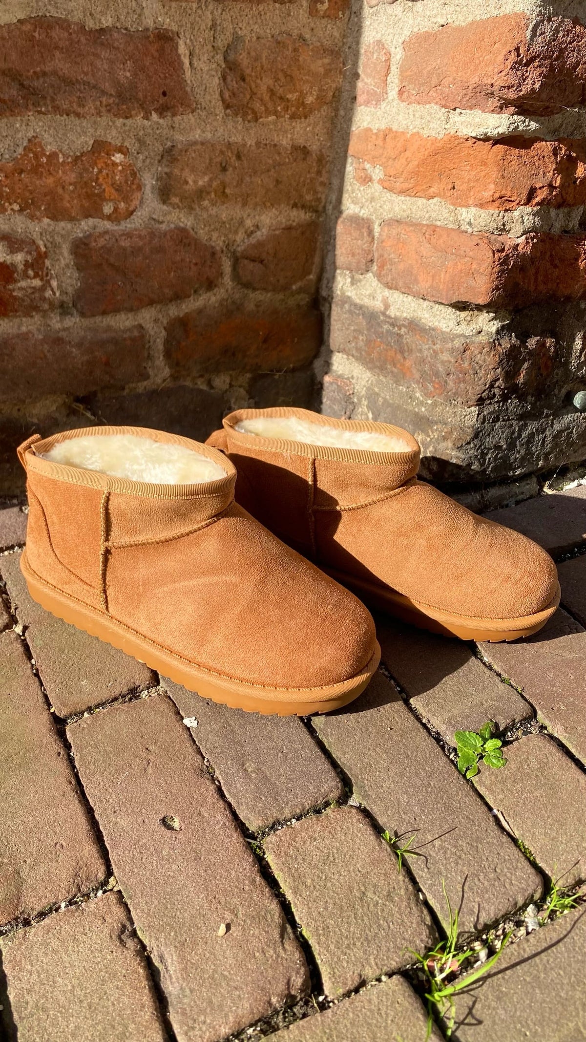 Botas teddy mini - Camel