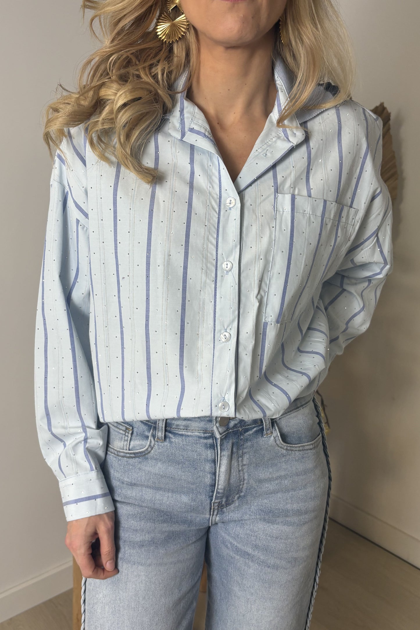 Sparkle Blouse Stripe