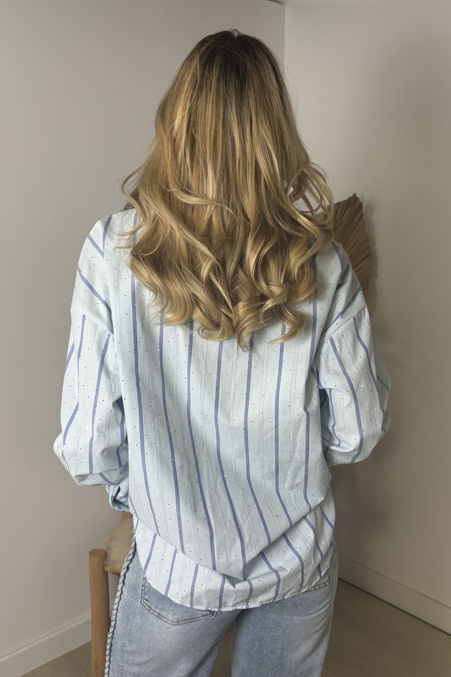 Sparkle Blouse Stripe